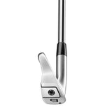 TAYLORMADE P790 '23 IRONS + TRUE TEMPER DYNAMIC GOLD