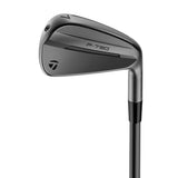 TAYLORMADE P790 '25 BATTLE WORN IRON HEAD